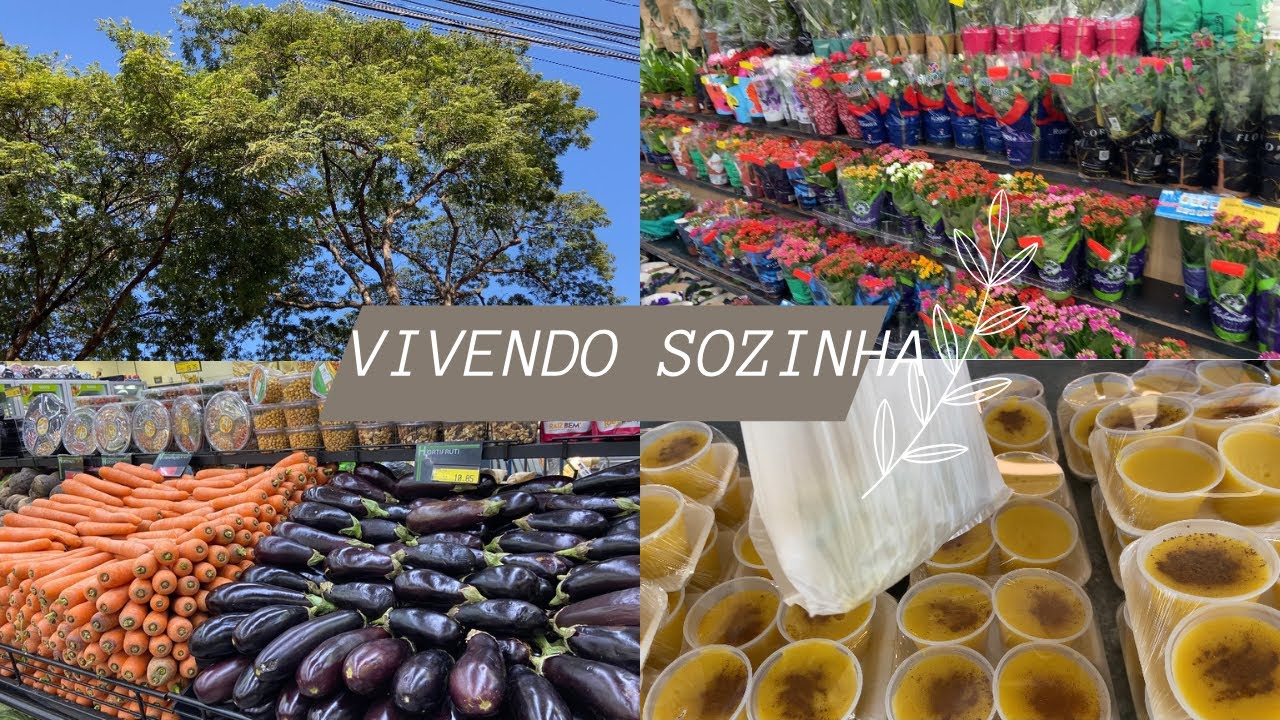 Morando em um quarto/ a decora&ccedil;&atilde;o continua/ aprendendo a viver sozinha.