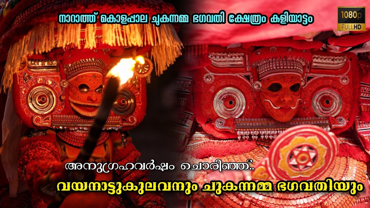 അനുഗ്രഹവർഷം ചൊരിഞ്ഞ് വയനാട്ട്കുലവൻ ദൈവവും ചുകന്നമ്മ ഭഗവതിയും..🙏🏻💚❤️ Theyyam Happens In Kannur
