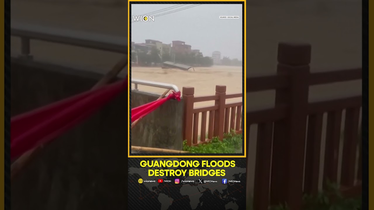 China Floods Wash Away Bridges in Guangdong Province | WION SHORTS