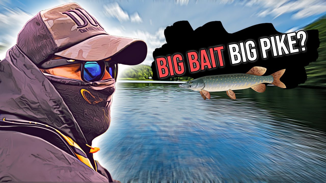 Session BIG BAIT explosive ! Des brochets énormes dans un spot chargé 🔥