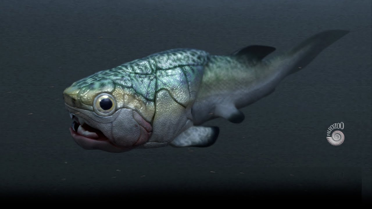 Placoderms of the Devonian Sea.