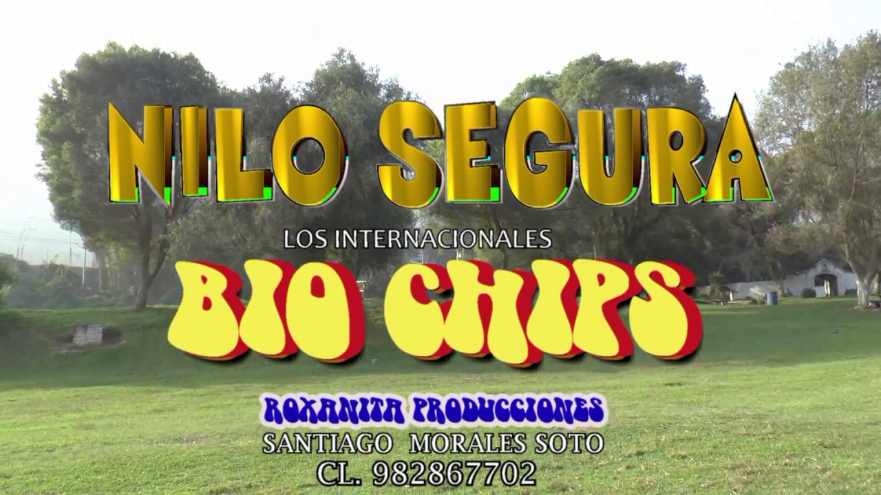 LOS BIO CHIPS - BIO MIX  2