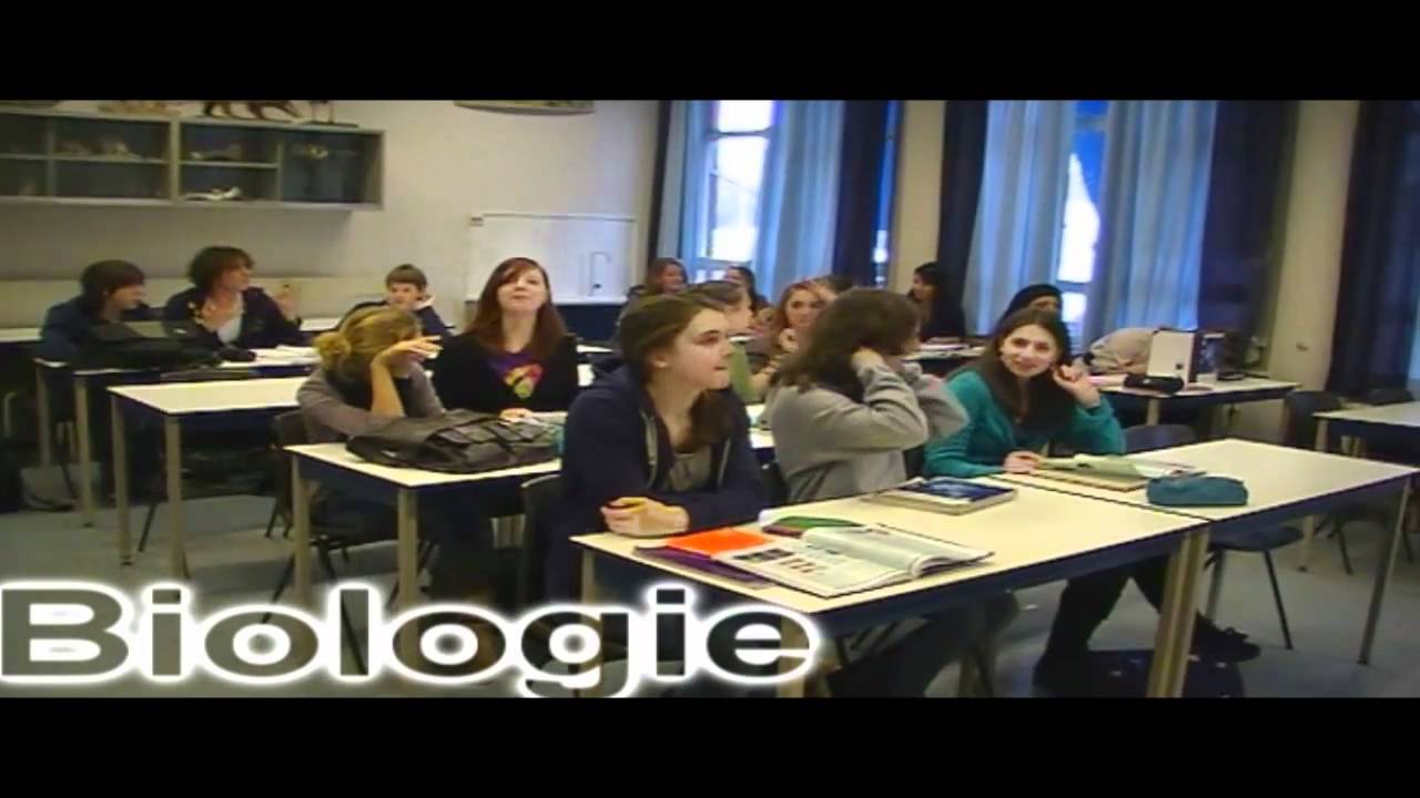 Augtube - winnaar bovenbouw