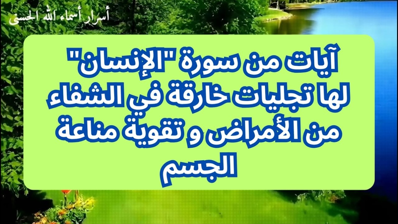 آيات من سورة 