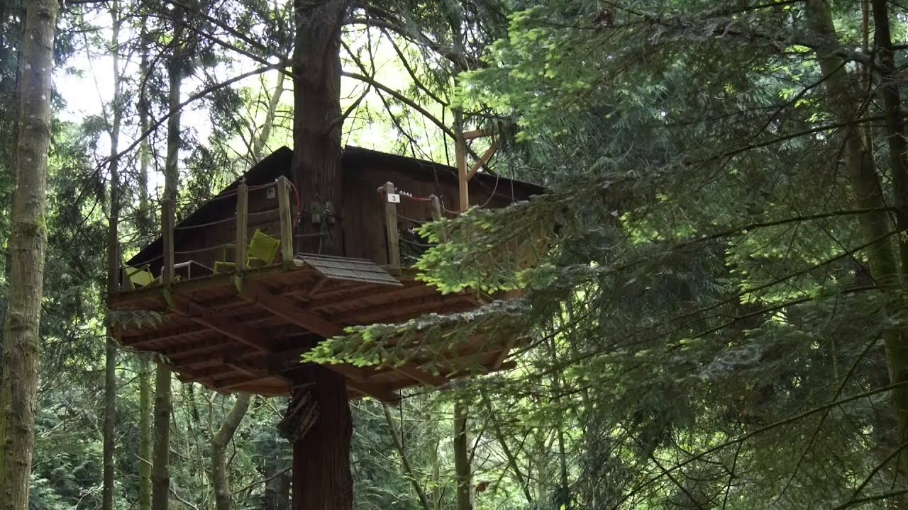 Présentation domaine des Ormes
