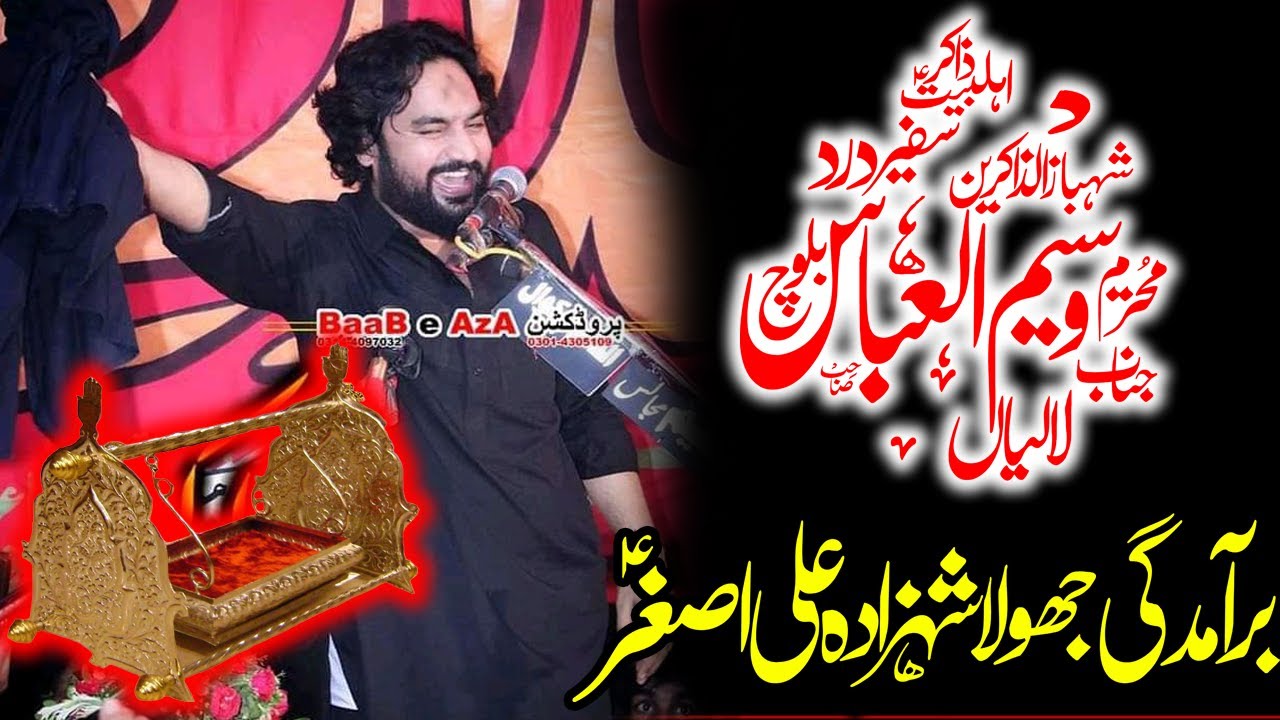 Zakir Waseem ul Abbas Baloch | Baramdgi Jhoola Shahzada Ali Asghar as| Yadgar Majlis