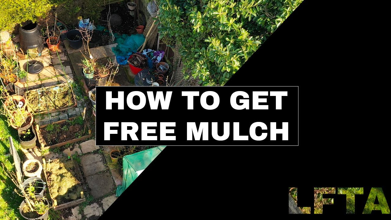 HOW TO GET FREE MULCH