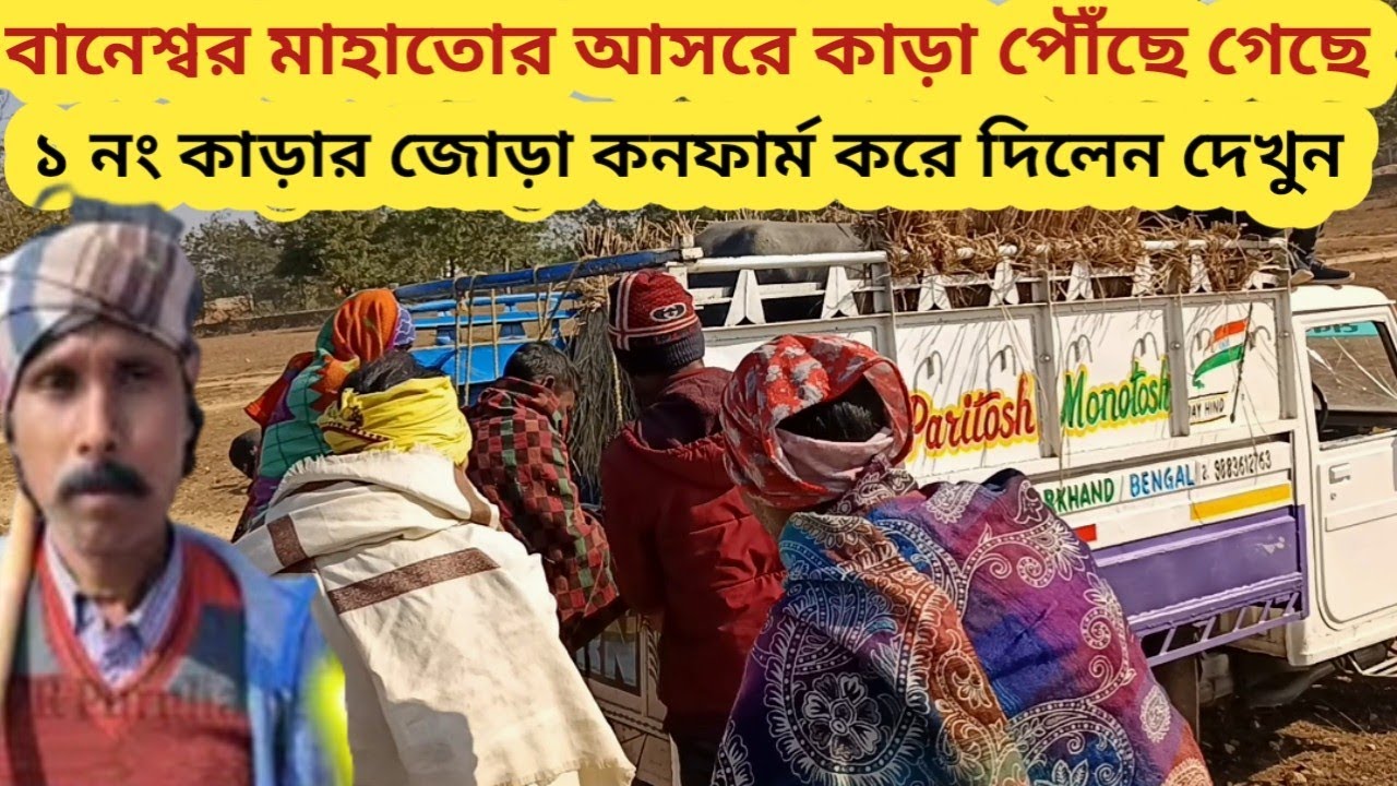 মরদ এর মতন কাড়া নামিয়ে দিলেন 🔥 বানেশ্বর মাহাতোর আসরে এই বির কাড়া।