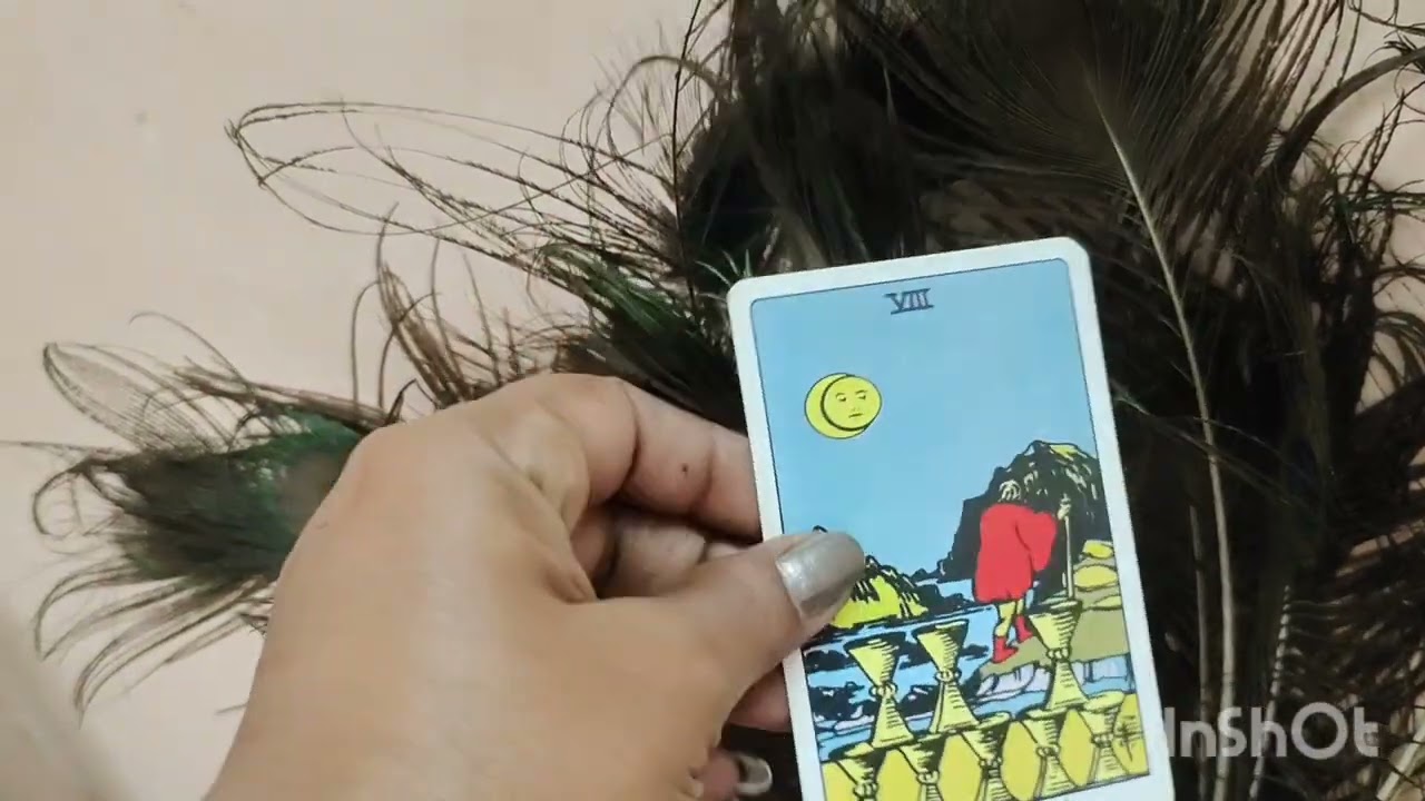 Future 3 months prediction