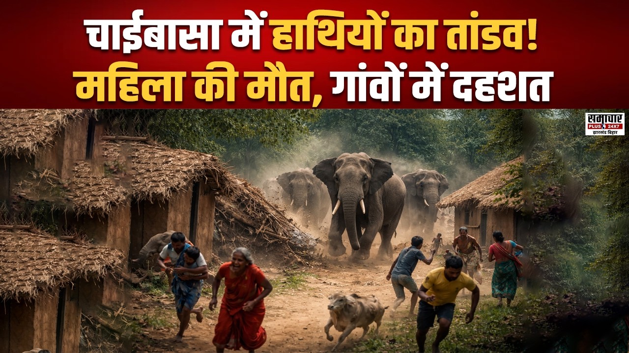 हाथियों का कहर! Chaibasa में बुजुर्ग महिला की मौ'त, गांव-गांव मचा आतंक, प्रशासन में हड़कंप