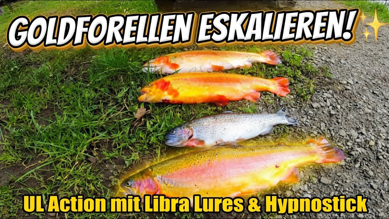 Forellenangeln im Frühjahr | Goldforellen angeln mit Libra Lures, Hypnostick, Spoon und Bulldog