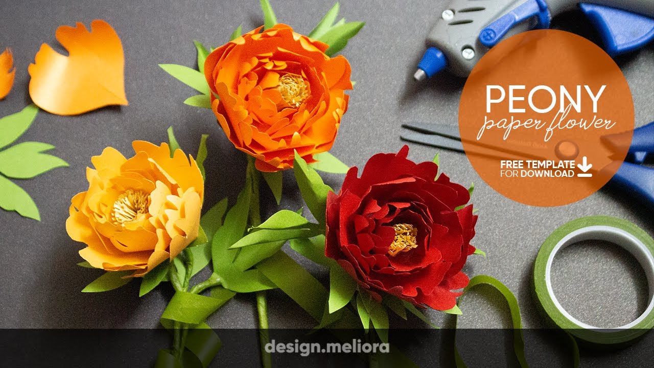 How To Make an Easy Peony Paper Flower, Cách làm Hoa Mẫu Đơn từ Giấy đơn giản (+ Free Template)