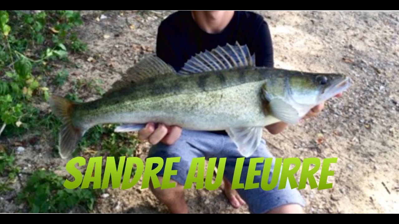 Pêche du sandre au leurre|GoPro HD #29