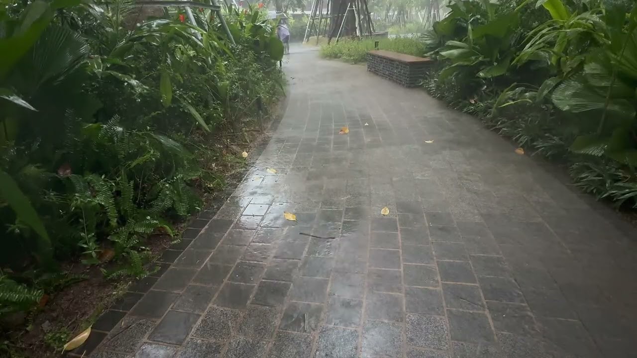 Gentle Rain Sounds – Perfect Rainy Day Atmosphere