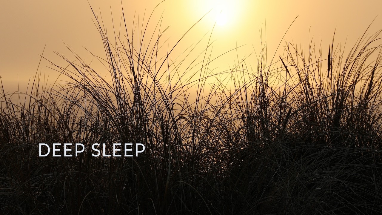Where Wind Meets the Sea — Rolling Waves for Deep Sleep (10 Hours)