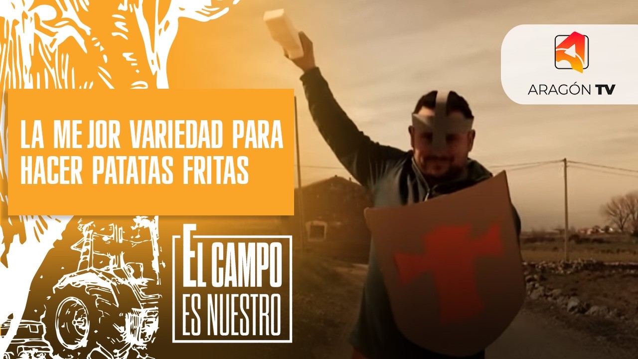 ¿Qué variedad será mejor para hacer patatas fritas?