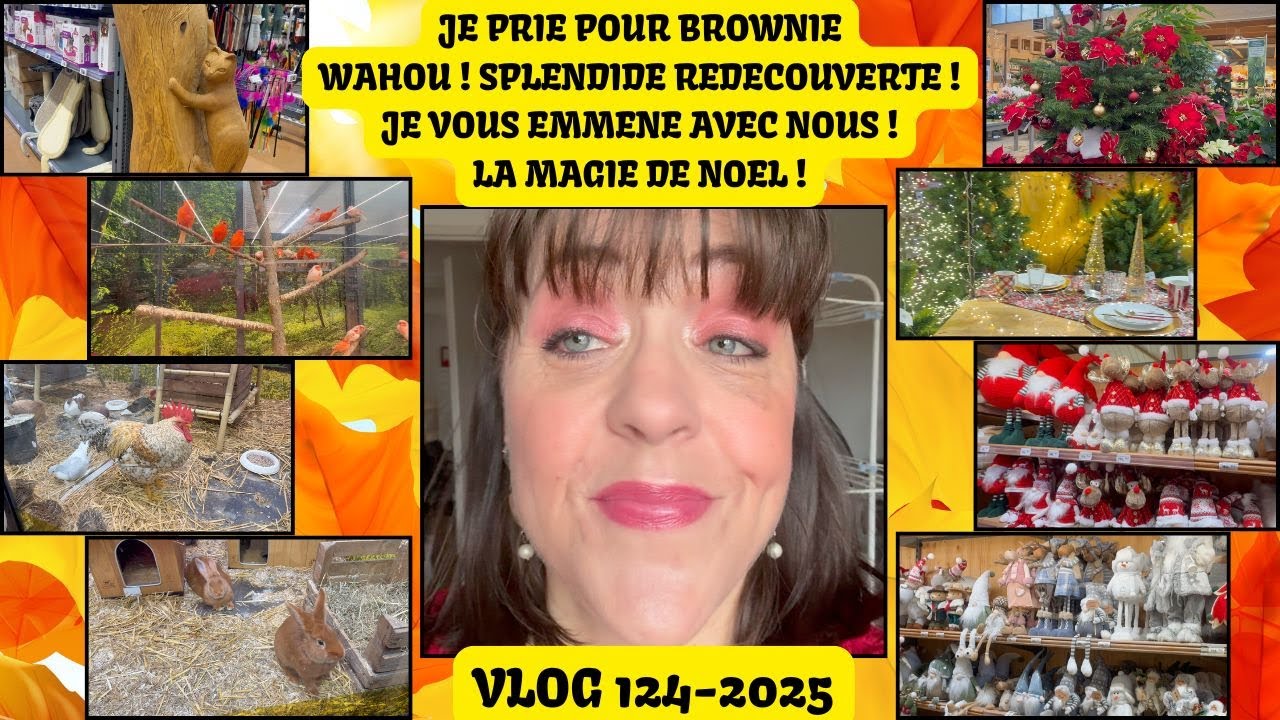 VLOG 124/2025/JE PENSE A BROWNIE/JE VOUS EMMENE AVEC NOUS/L'ESPRIT DE NOEL EST BIEN LA/J'ADORE !