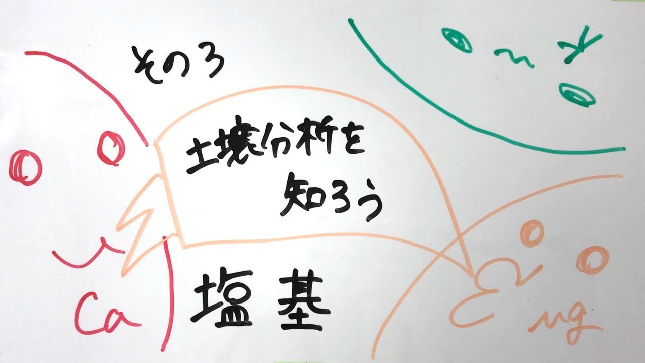 【土壌分析を知ろう#03】塩基：基礎編【住商アグリビジネス】