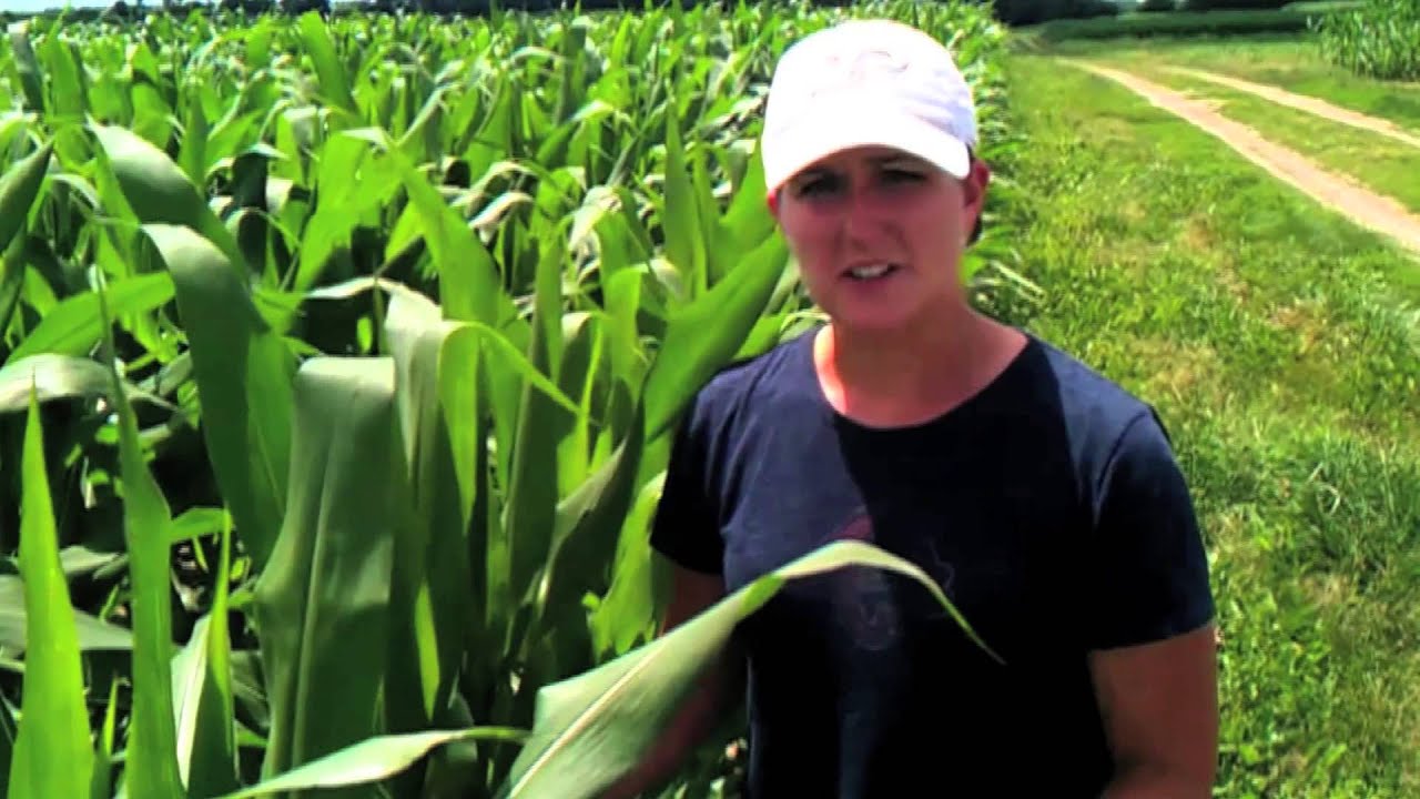 Purdue Agricultural Centers - Kiersten Wise