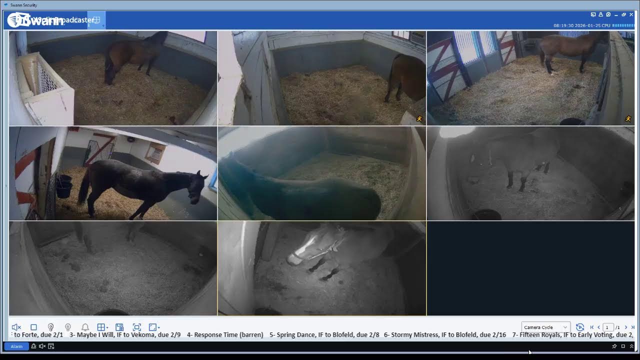 1/24/2026 CLF livestream