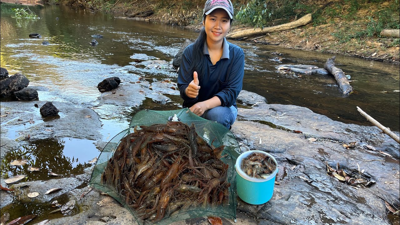ดักกุ้งข้ามคืนหมานกุ้งตัวใหญ่ๆสวยๆจ้า3/ก.พ/2569