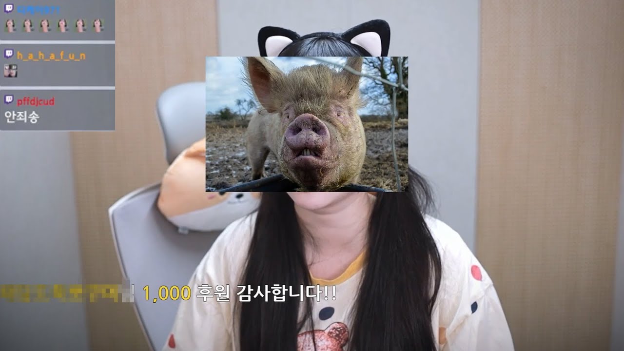 니들이 잘못해놓고 이게 지금 뭐하는거야