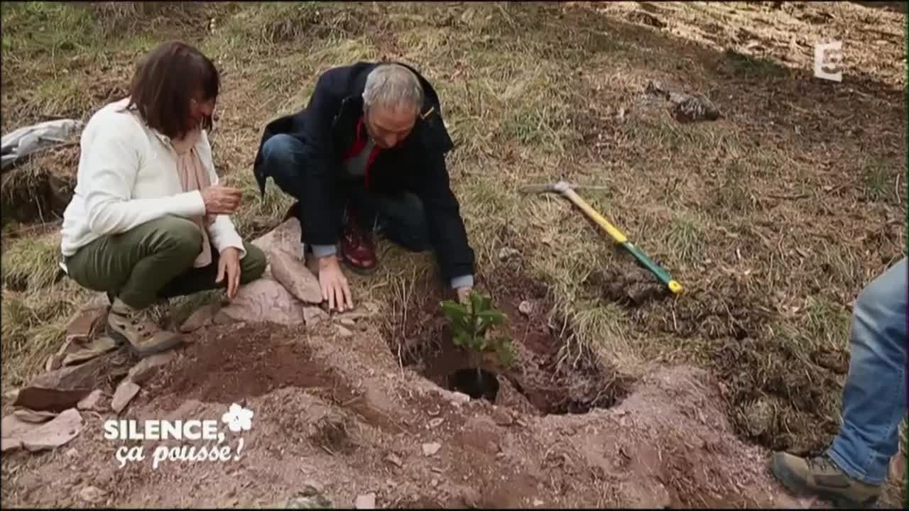 Visite de l’arboretum de Roure - Silence, ça pousse !