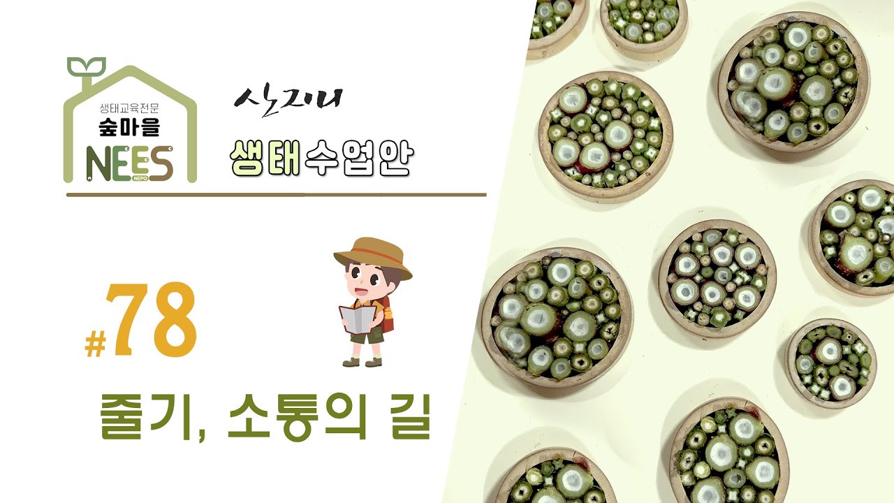 [생태수업안 78] 줄기, 소통의 길