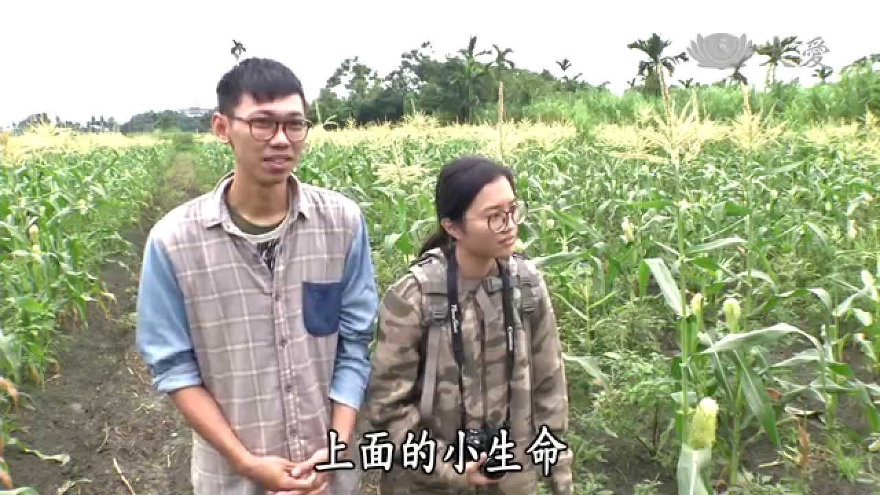 【農夫與他的田】20141215 - 青鳥的農夫路