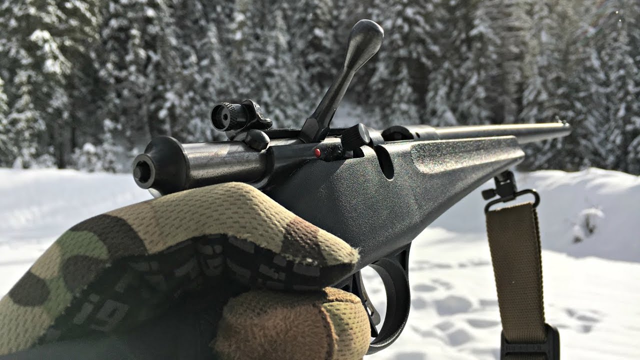 .22lr Savage Rascal