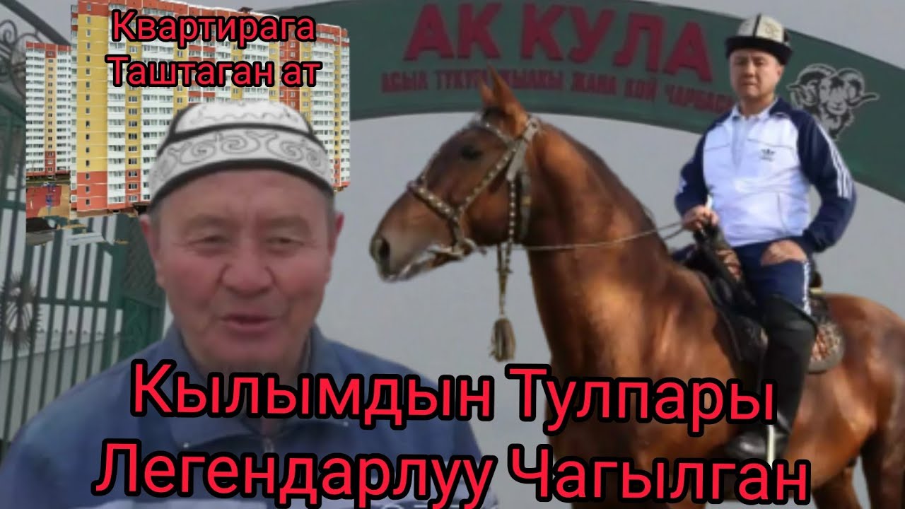Чагылган⚡Легендарлуу✨КЫРГЫЗ🇰🇬Тулпары🔥КУЛУНДАРЫ💣озгочо  экен💥