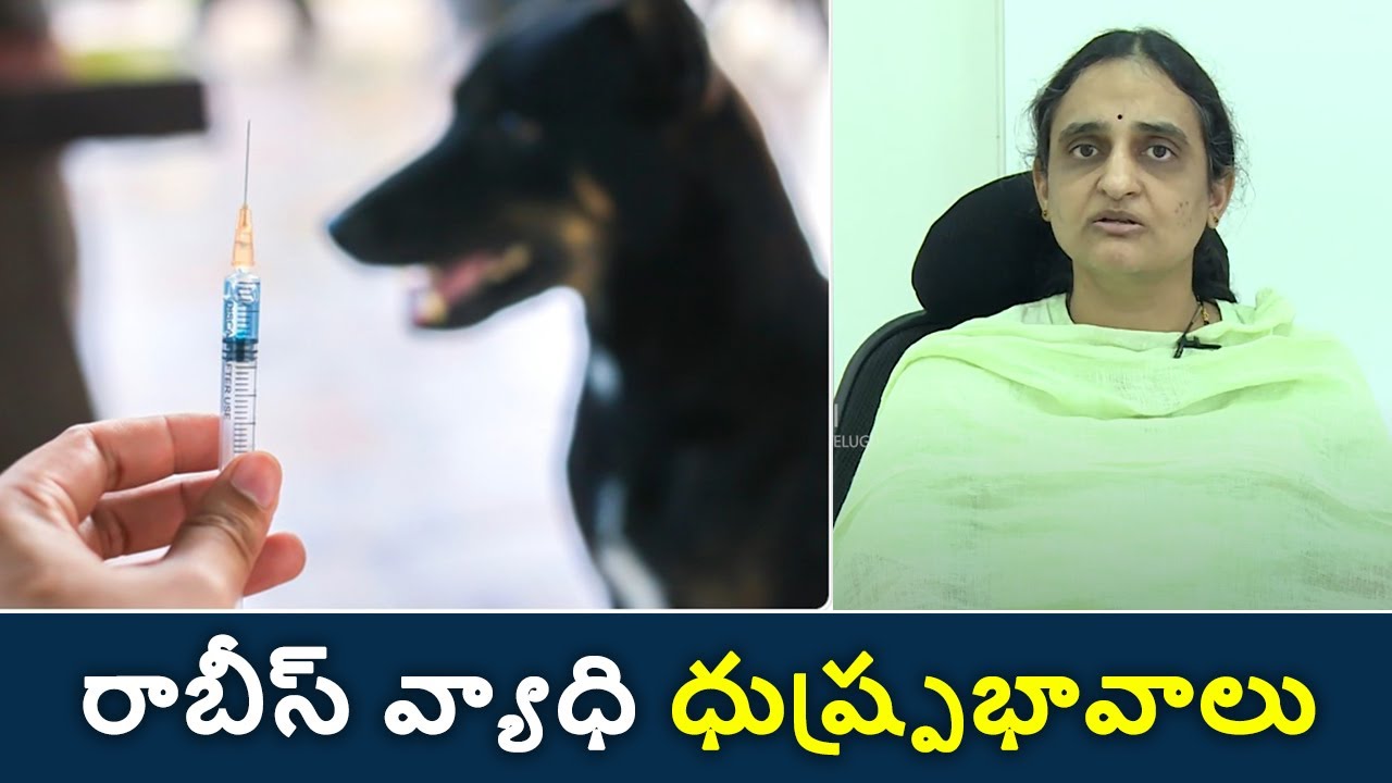 Effects of Rabies Disease | రాబీస్ వ్యాధి ధుష్ప్ర‌భావాలు | Samayam Telugu