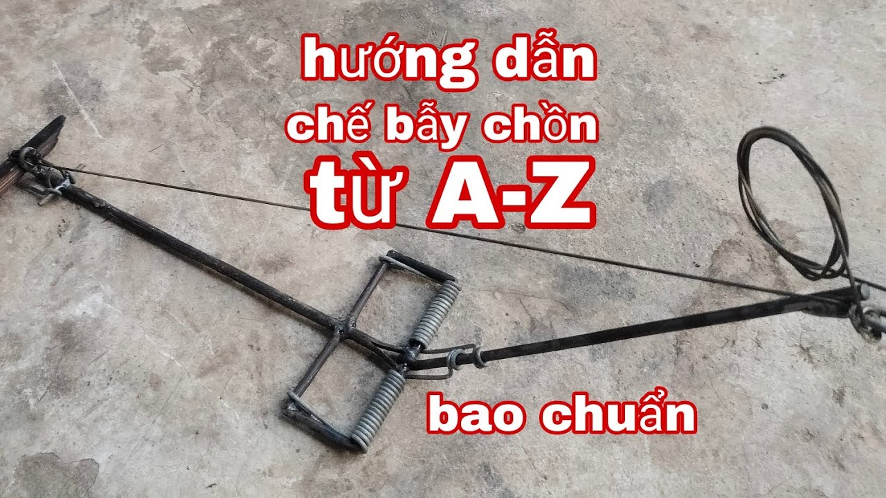 Hướng dẫn chế bẫy chồn từ A đến Z cho a em. Nhanh gọn lẹ bao chuẩn  ( thợ rừng chế bẫy )