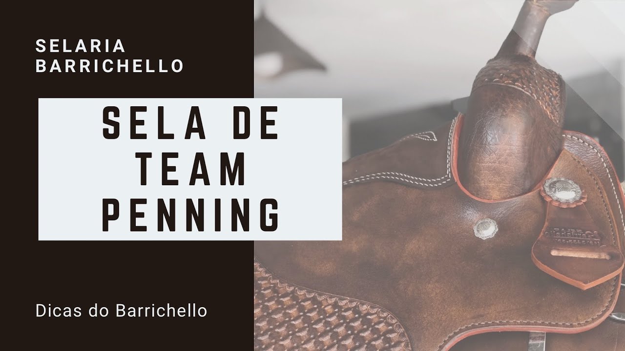 SELA DE TEAM PENNING / RANCH SORTING