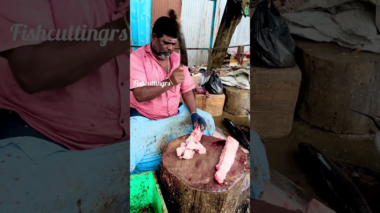 Sura fish cutting video/fishcuttingrs#fish #kasimedu #fishcuttingrs