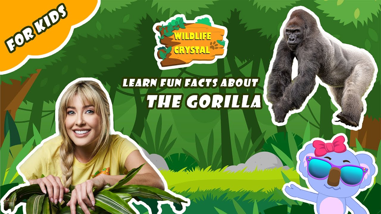 Gorilla Facts