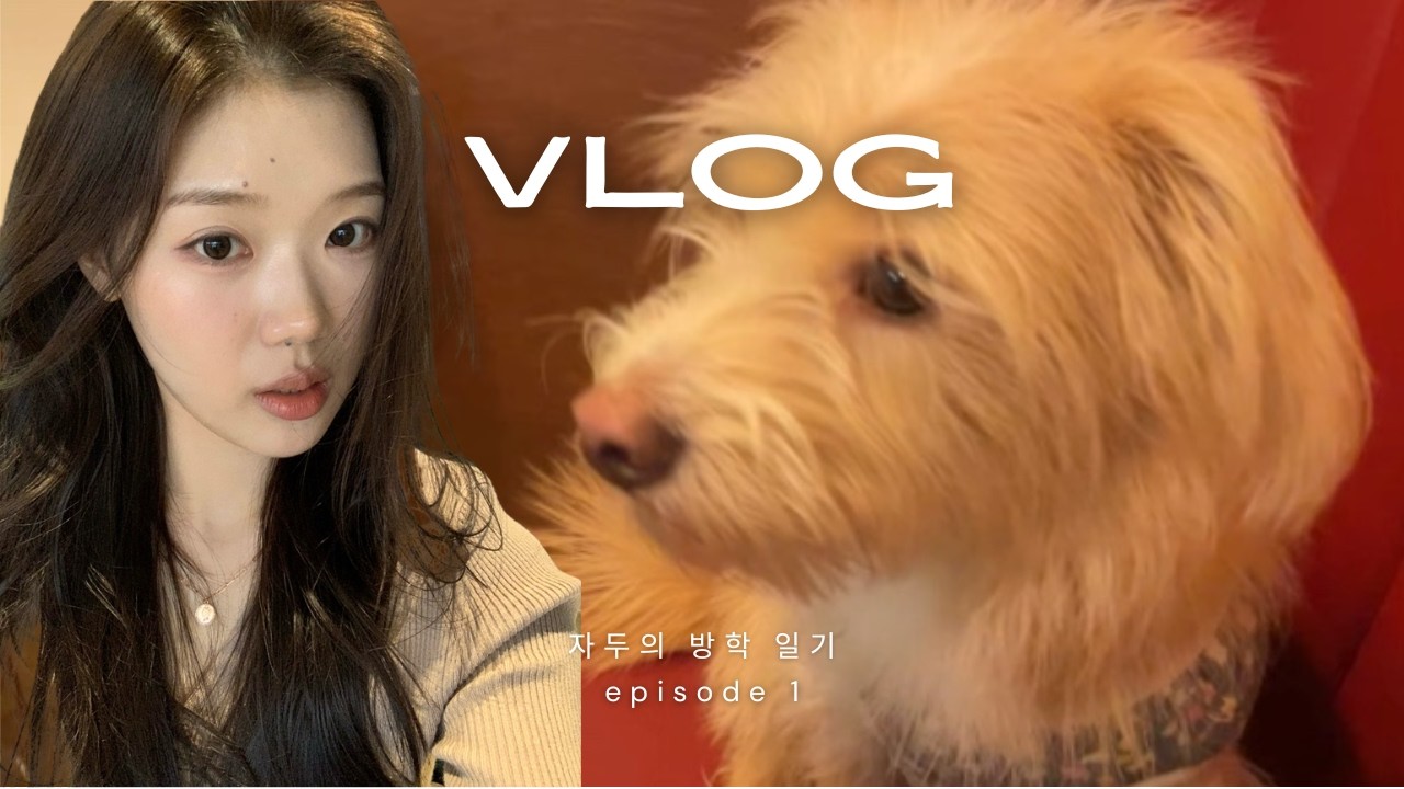 vlog | 자두의 방학 일기