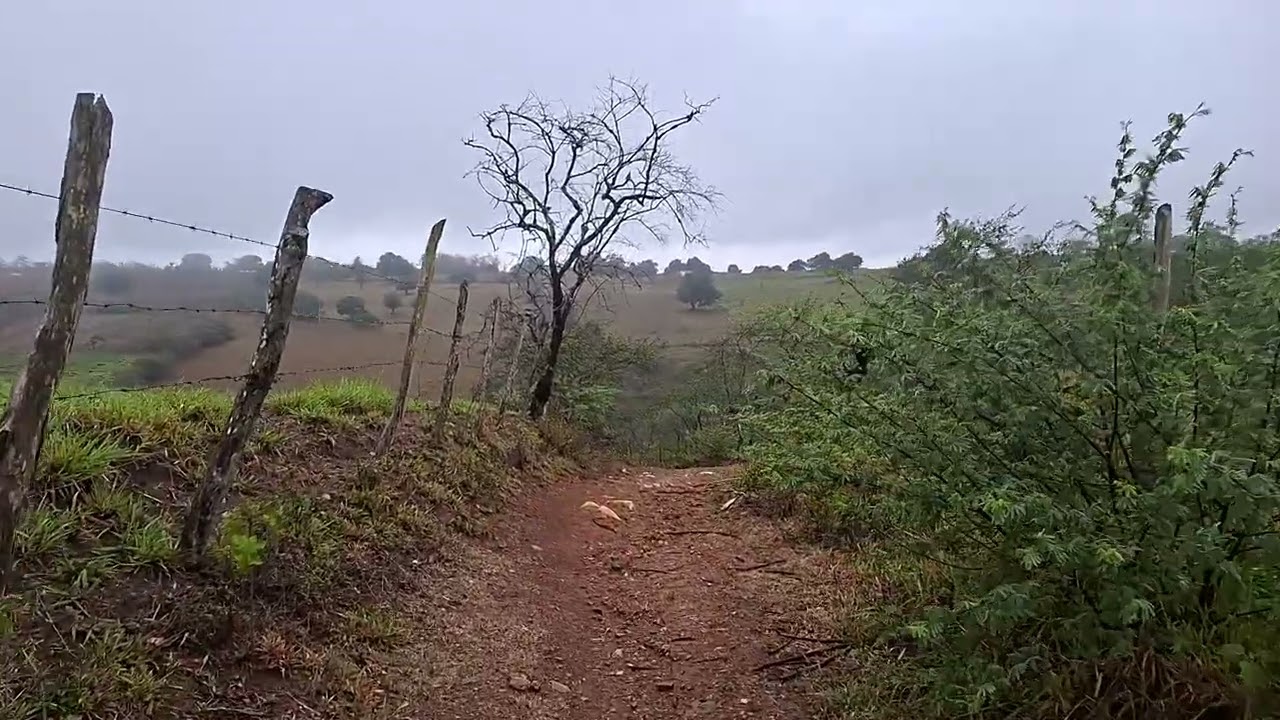 Mostano terra molhada no nordeste baiana 
