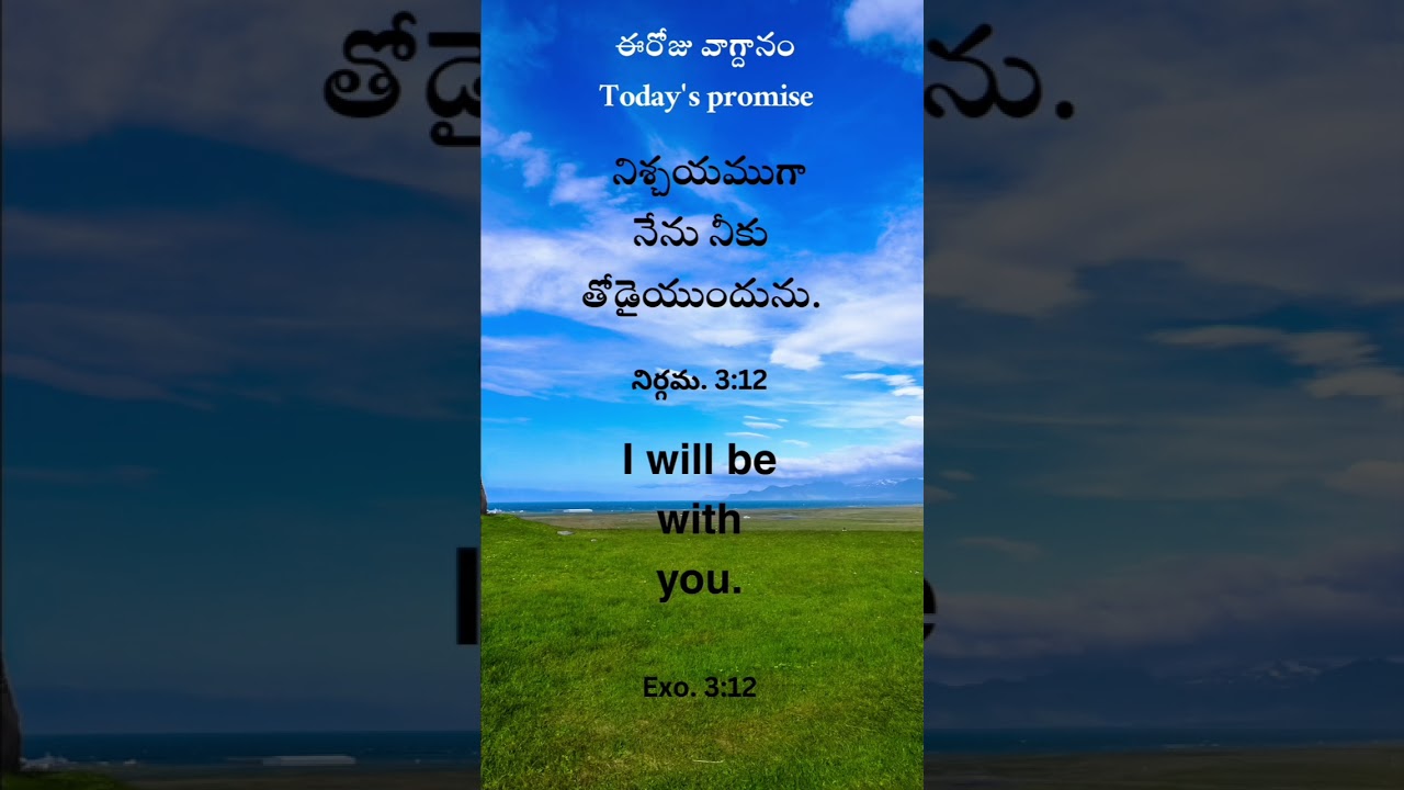 Daily Promise | God&rsquo;s Word for Today | Hope &bull; Faith &bull; Peace | 20 Feb 2026