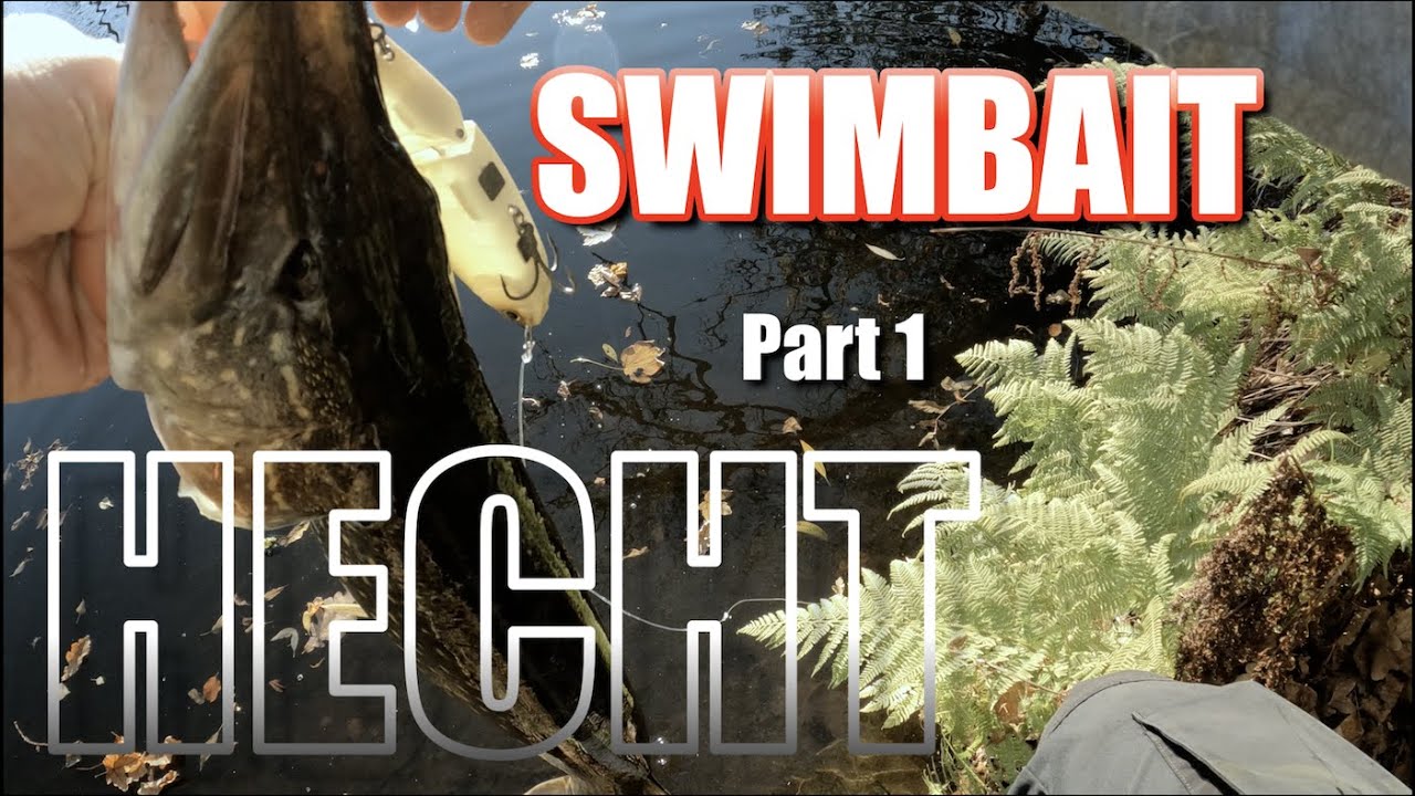 SWIMBAIT auf HECHT - Part I | Swimbait Republic Glideway 176