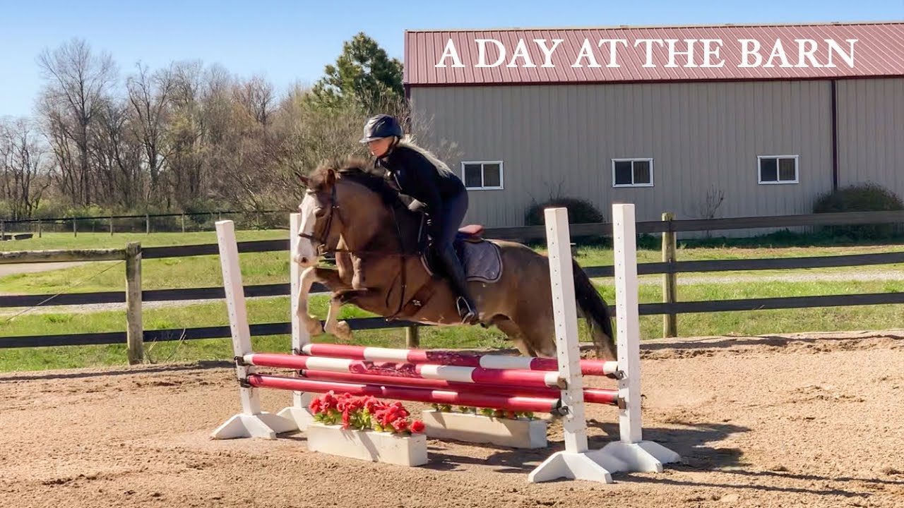 A DAY AT THE BARN