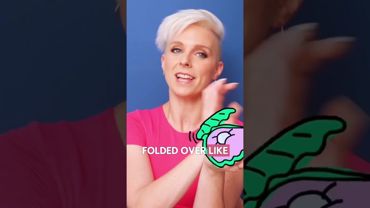 Seashell. Deep. Intimate.