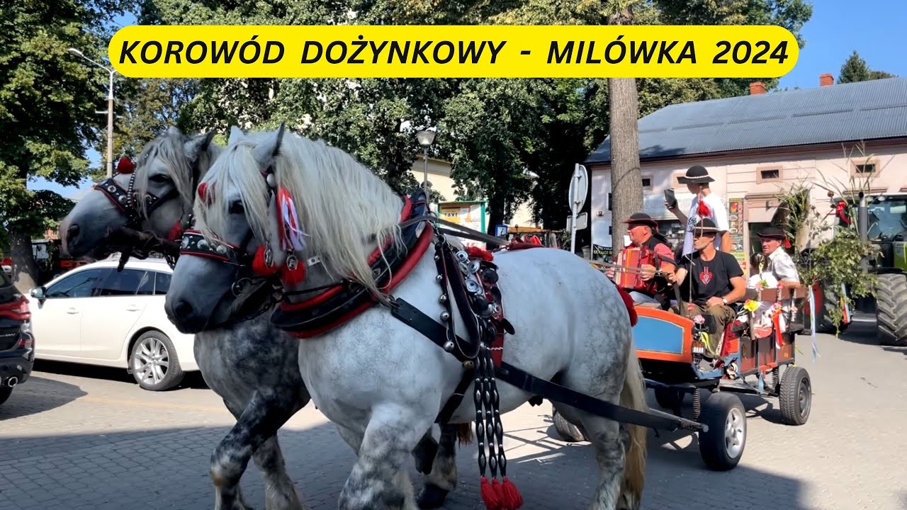KOROWÓD DOŻYNKOWY - MILÓWKA 24.08.2024