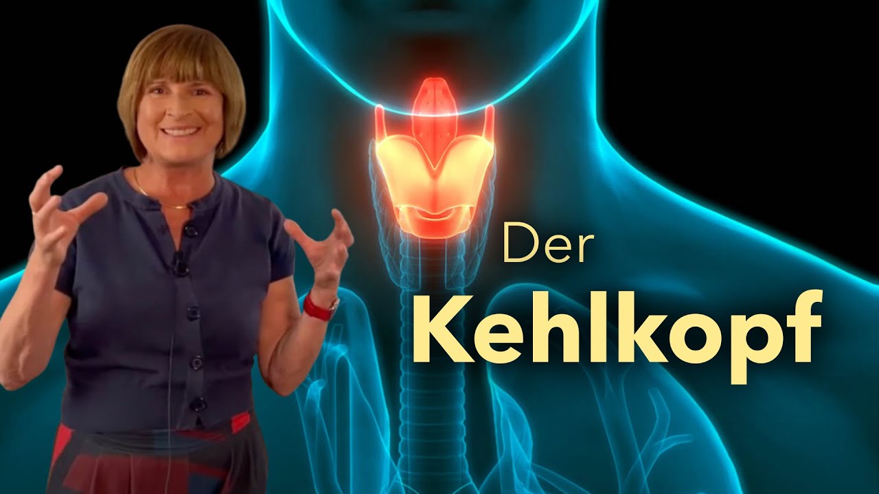 Der Kehlkopf: Lage, Aufbau, Phonation