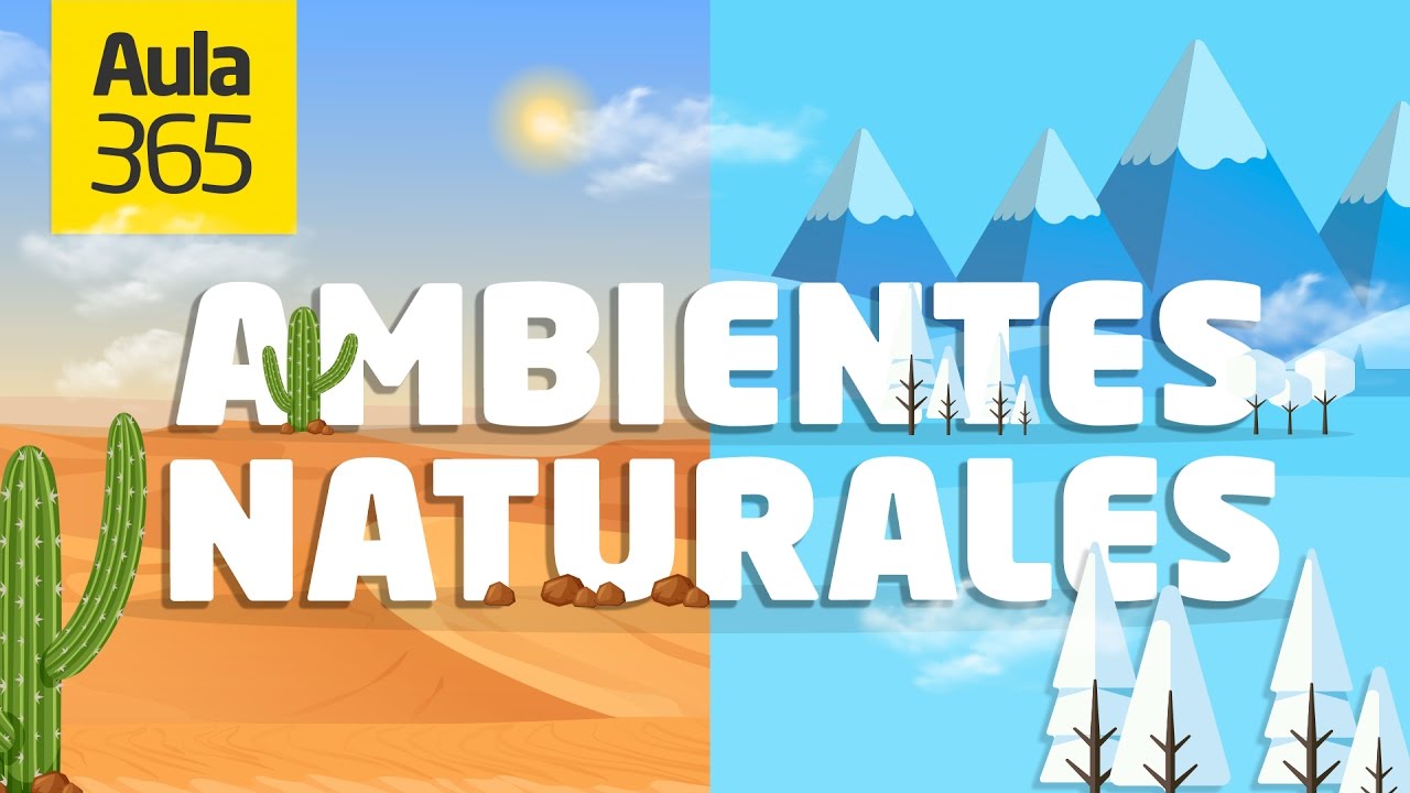 &iquest;Cu&aacute;les son los Ambientes Naturales de Am&eacute;rica? | Videos Educativos Aula365