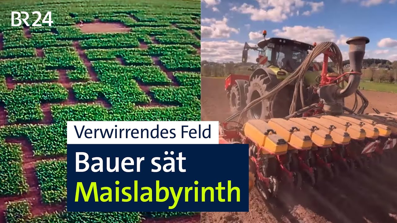 With satellite GPS: Farmer sows corn maze in Upper Franconia | BR24