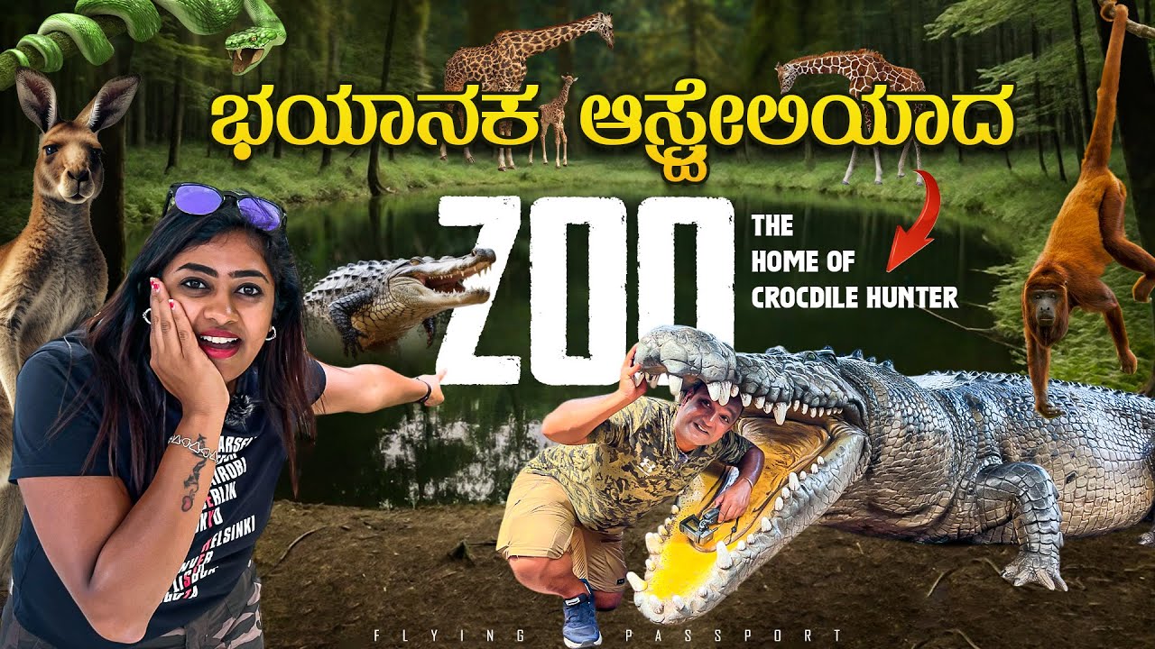 ಆಸ್ಟ್ರೇಲಿಯಾದ ಕಾಡಿನಲ್ಲಿ ಕಾಂಗರೂಗಳ🦘ಜಗಳ ಮತ್ತು ಮೊಸಳೆಗಳ🐊 ಬೇಟೆ  | Dangerous Animals of Australia
