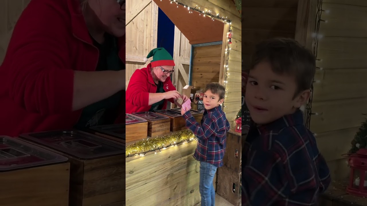 Captivating Christmas at Pennywell: A Festive Tale 🎅🚜