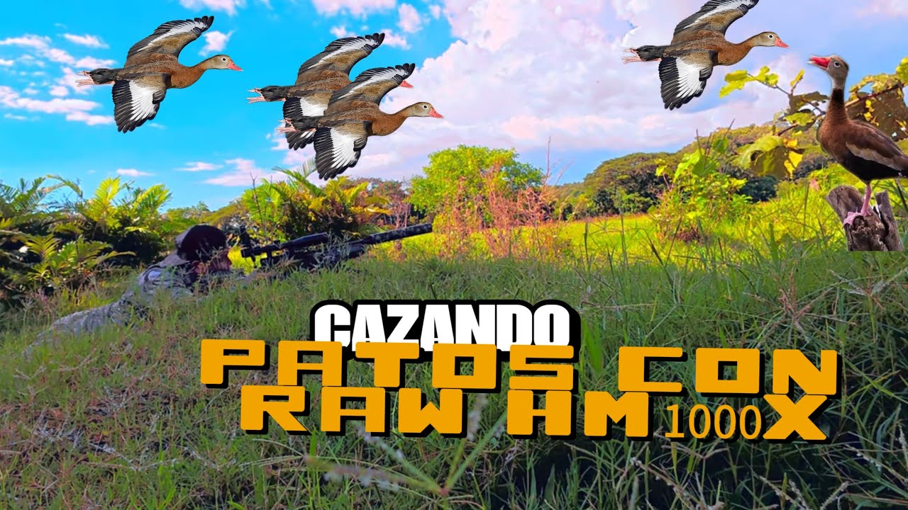 CACERIA DE PATOS¡¡¡¡¡¡¡EN UN LUGAR IMPRESIONANTE con rifle Raw hm1000x