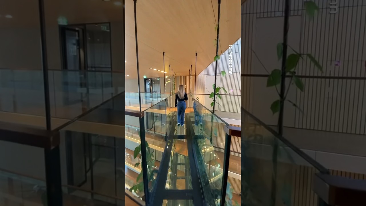 bucket list hotels in Amsterdam be like🇳🇱🤯 #hotels #travel #adventure #explore #nature #amsterdam